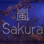 sakura